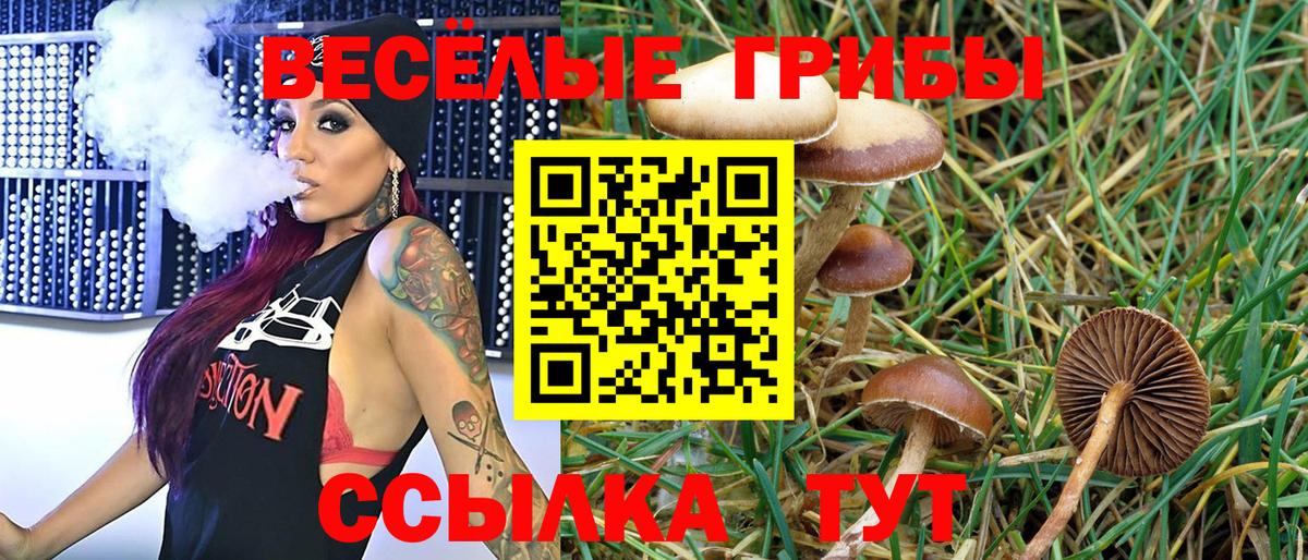 Белово  Галлюциногенные грибы мухоморы  Вход с VPN 